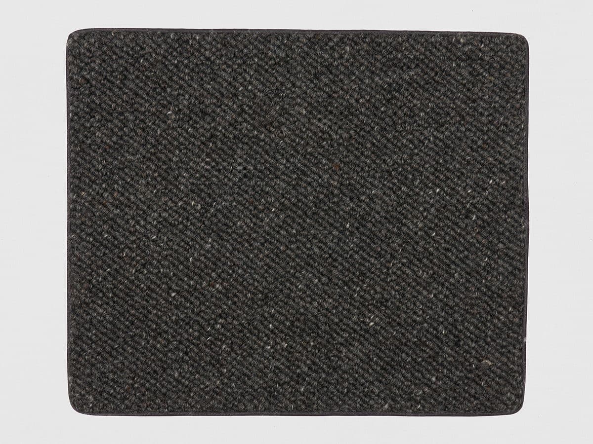 Iron